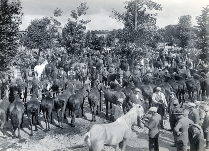 163268 Gezicht op het terrein van de veemarkt aan de Croeselaan te Utrecht, tijdens een paardenmarkt.